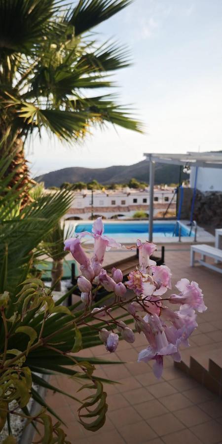 Villa Casa Jan With Pool, Mountain And Sea Views. à Enix Extérieur photo